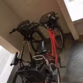 自行车 图片 1