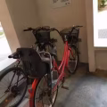 自行车 图片 2