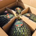 仟果季：新鲜蔬菜，水果，海鲜，礼盒，厨房调味应有尽有~满$59免运费，送到家门口 图片 4