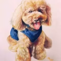 画画补习，新加坡画家，有20年画画经验，我们采取上门一对一教学 图片 7