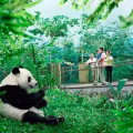 新加坡河川生态园！ 图片 4
