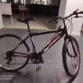 自行车 图片 1