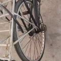 二手自行车 图片 2