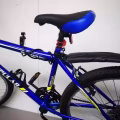 蔡厝港自行车 图片 1