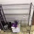 架子 图片 1
