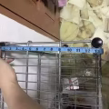 架子 图片 3