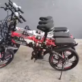 20寸凤凰可折叠自行车 图片 1