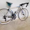 自行车 公路车 图片 2