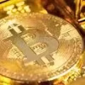 比特币黄金 us1;第 36 个月比特币-gold.live 在纳斯达克 IPO 图片 17