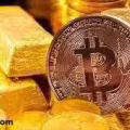 比特币黄金 us1;第 36 个月比特币-gold.live 在纳斯达克 IPO 图片 12