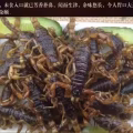 中国特色美食 图片 12
