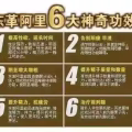 东革阿里切片 图片 1