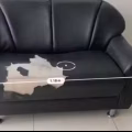 沙发免费送 图片 1