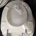 马桶盖 图片 1