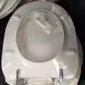 马桶盖 图片 2