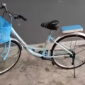 26寸女神变速复古自行车 图片 2