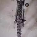 山地自行车 图片 1