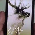 可玩性很高的诺基亚Lumia 822 图片 4