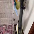 德国品牌KARCHER Vacuum*凯驰吸尘器 图片 1