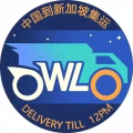 中国往返新加坡（双向物流国际搬家 货物，行李寄存） 图片 2