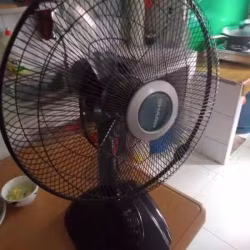  风扇