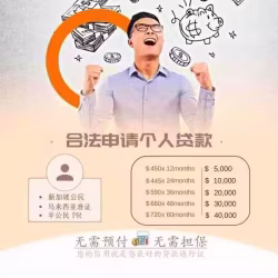 新加坡100%执照贷款公司