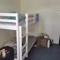Hougang ave 3 blk 7 可报服务业地址，现普通房诚招男搭房4人/