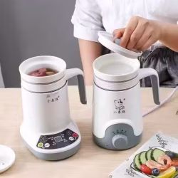 养生杯（煮粥 热奶 炖汤等）