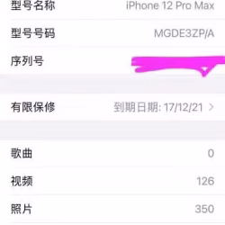 苹果12p max 256g