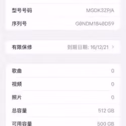 苹果12pro MAX512GB