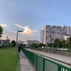 求一台苹果13