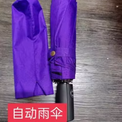 自动雨伞