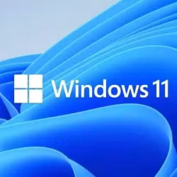 Windows 11 Product Activation Key (PRO U
