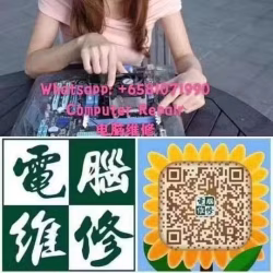 狮城8年经验，系统/笔记本/电脑/手机/ipad维修