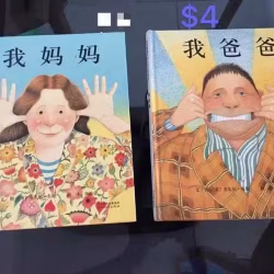 很新的书 学前识字 华文教育