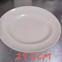 50 melamine plates 密胺盘50个