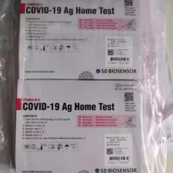 covid 自检检测试剂盒10个kit