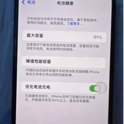 iPhone12promax256
