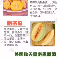 新鲜水果上新   酸酸甜甜 美味可口 