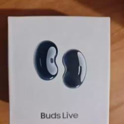 一个Galaxy Buds Live 黑色耳机和一个无线充电charger