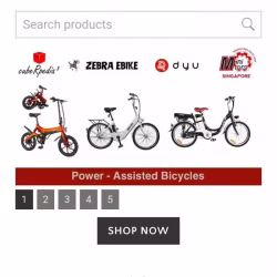 二手电动车