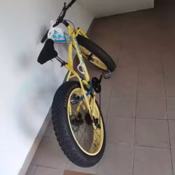 大轮自行车