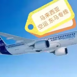 中国——马来西亚东马空运双清包税到门的省心一条龙运输服务
