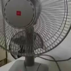 风扇