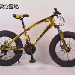 自行车 改装