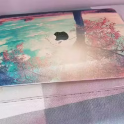 mac pro 2020