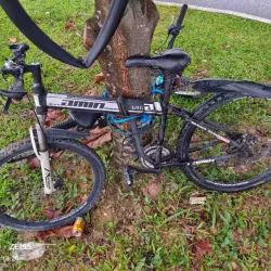自行车