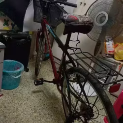 自行车