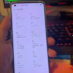 oppox3pro全新