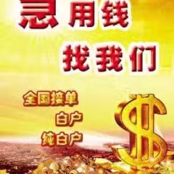 SG可靠许可的放款人